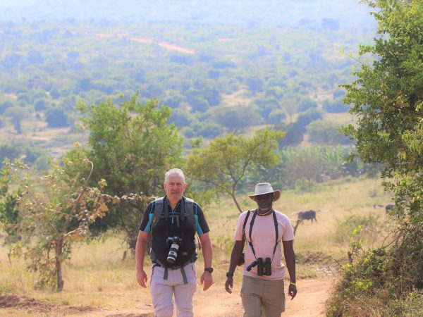 Get closer to animals on a guided safari walk in Lake Mburo national park