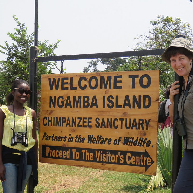 Lesley Ngamba island Chimpanzee sanctuary lake Victoria Uganda