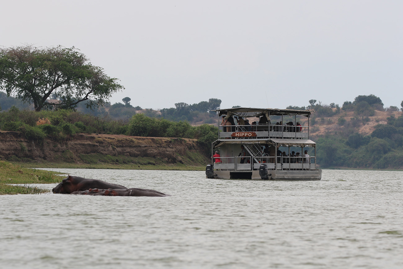 Boat Queen in Uganda looking at hippos.