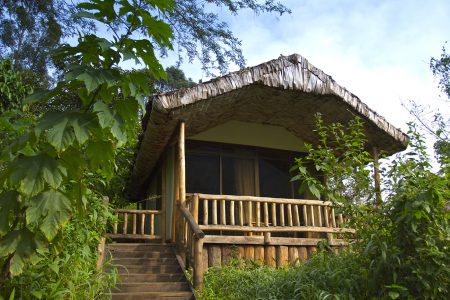 Engagi Lodge in Uganda’s Bwindi Impenetrable Forest National Park.