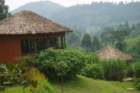 Mahogany Springs Lodge in Bwindi Impenetrable National Park, Uganda