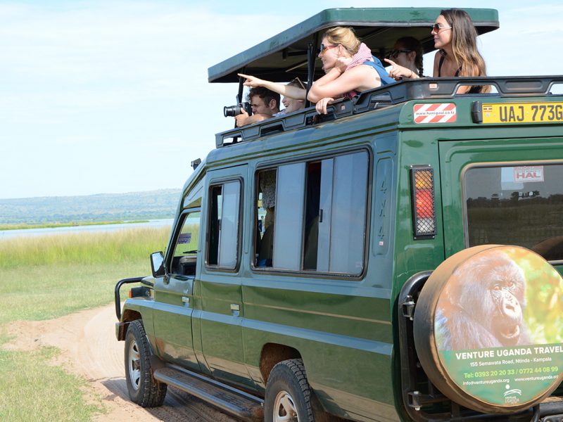 Venture Uganda on a game drive in Murchison falls national park