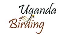 birding uganda logo