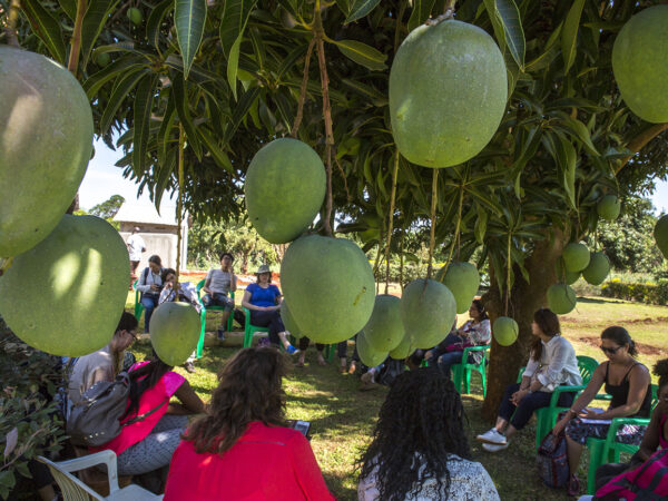 University field course visit to mango farm in Uganda