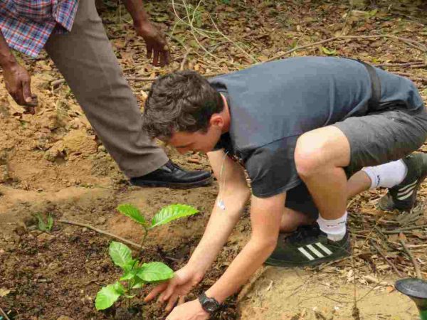 Venture Uganda client planting a coffee seedling Uganda