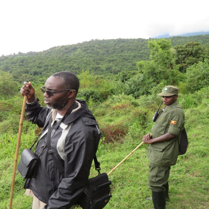 Hiking Mgahinga national park with a park ranger