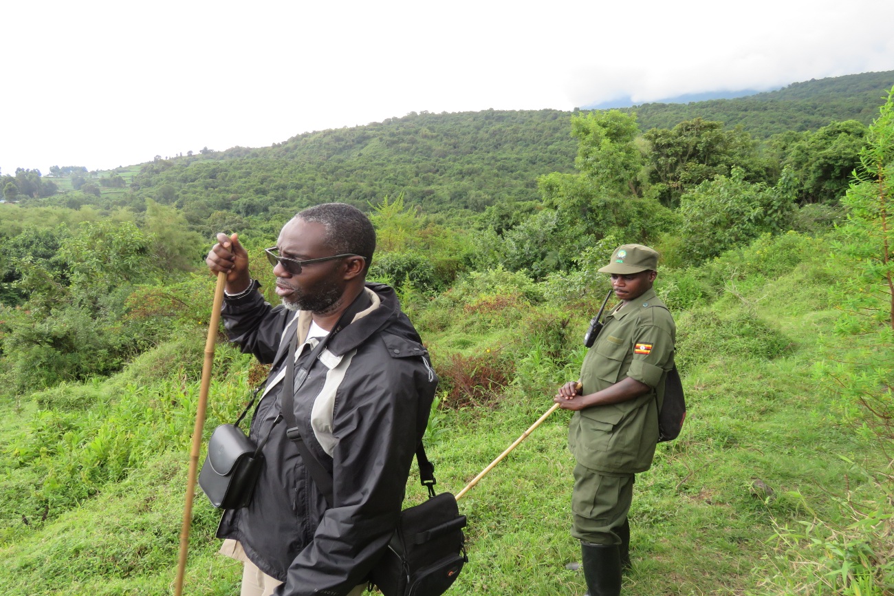 Hiking Mgahinga national park with a park ranger