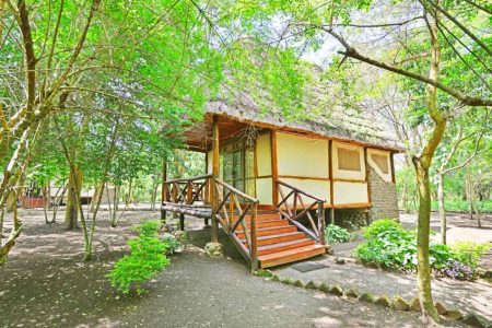 Ishasha Jungle Lodge cottage in Queen Elizabeth National Park, Uganda