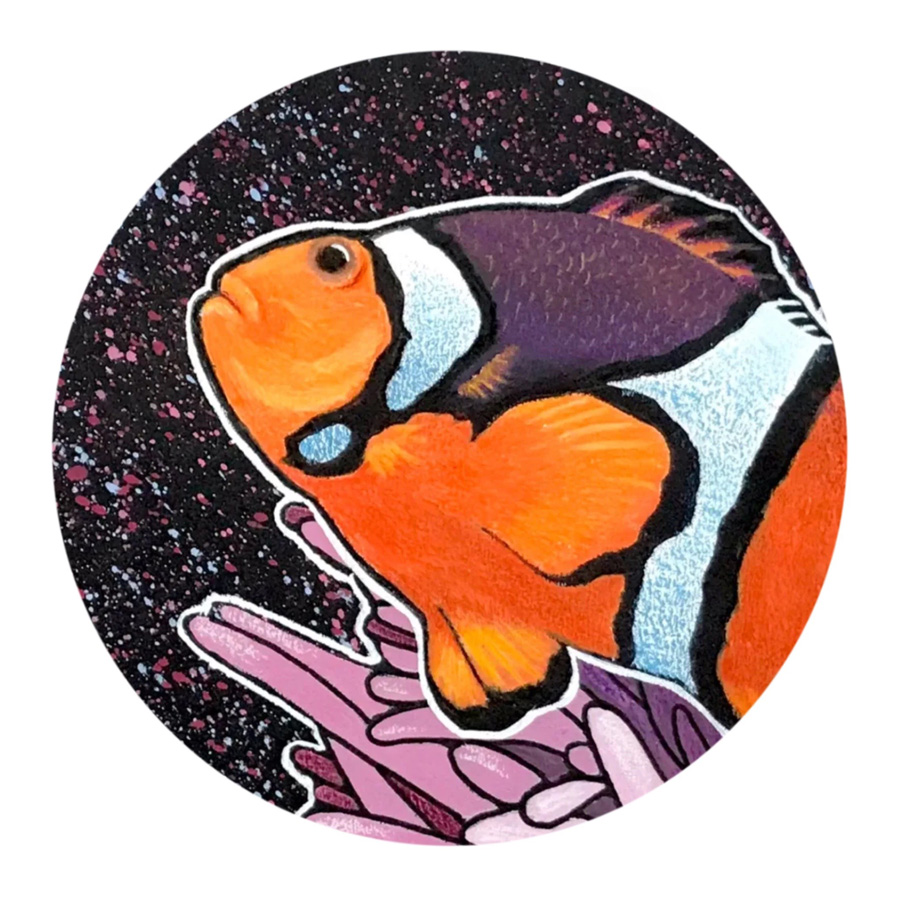 Clown fish in gouache by artist Kerry Newell