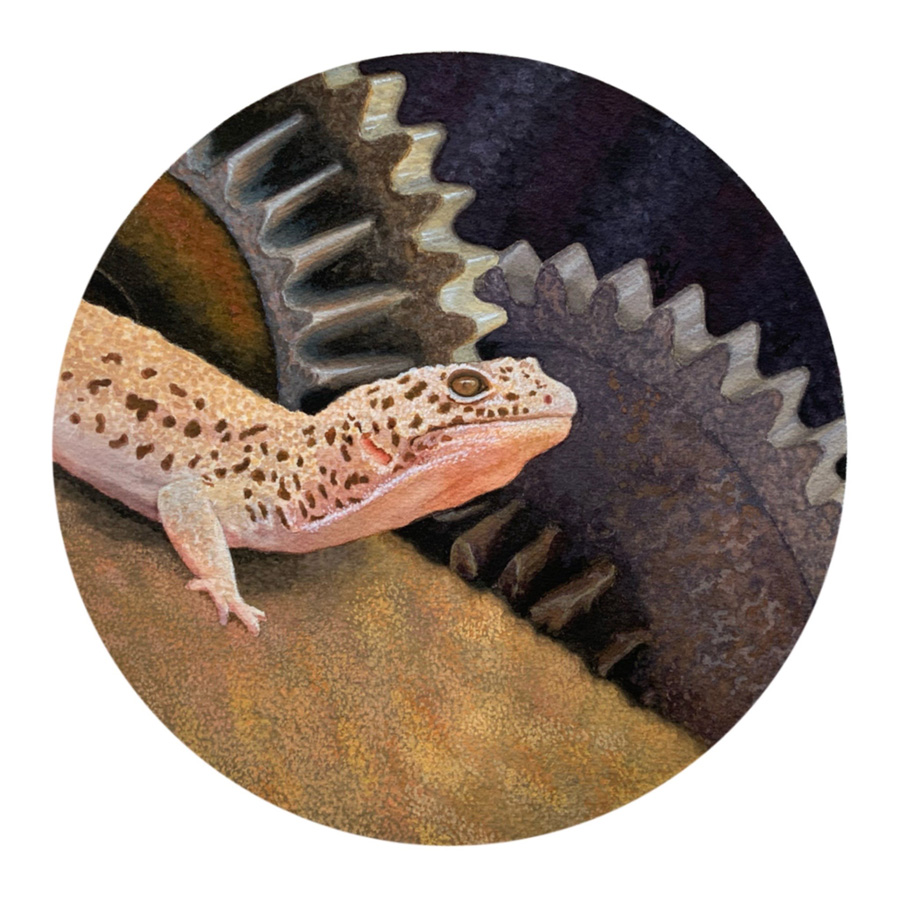 gecko in gouache by artist Kerry Newell