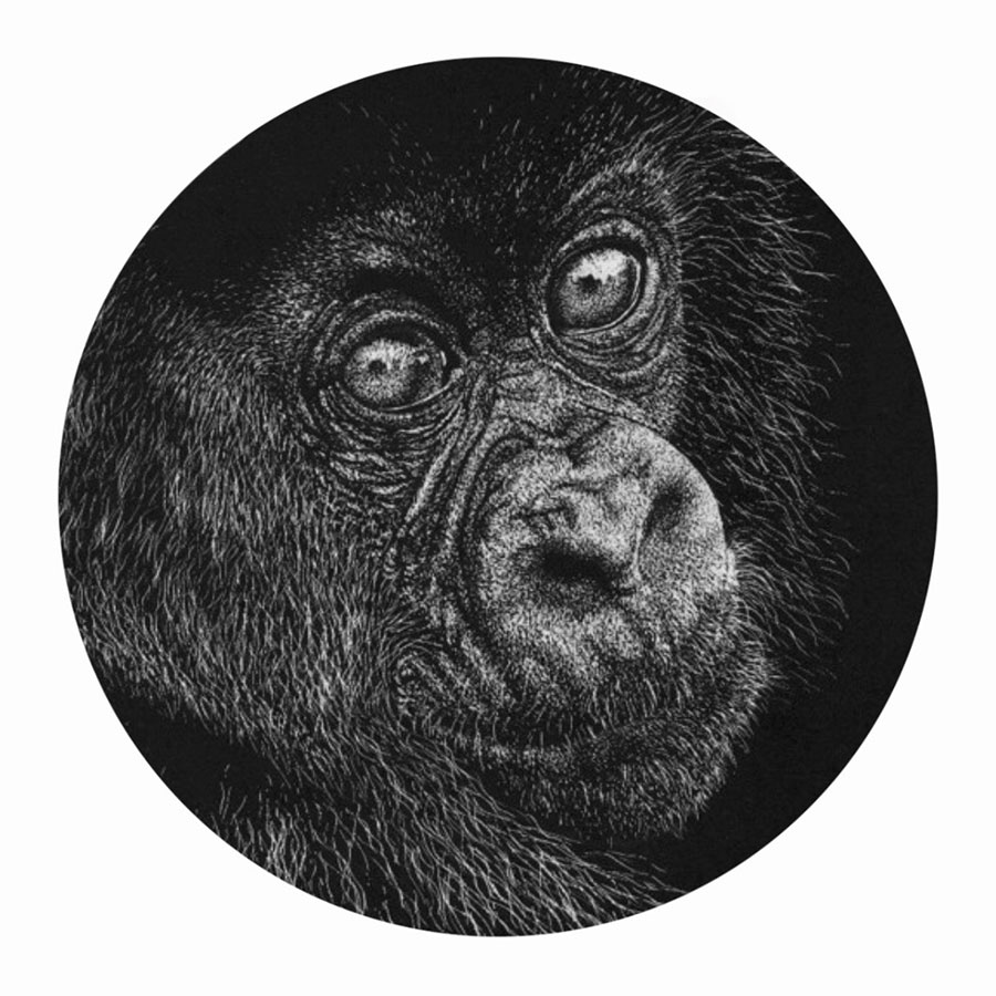 gorilla using inked board by artist Kerry Newell