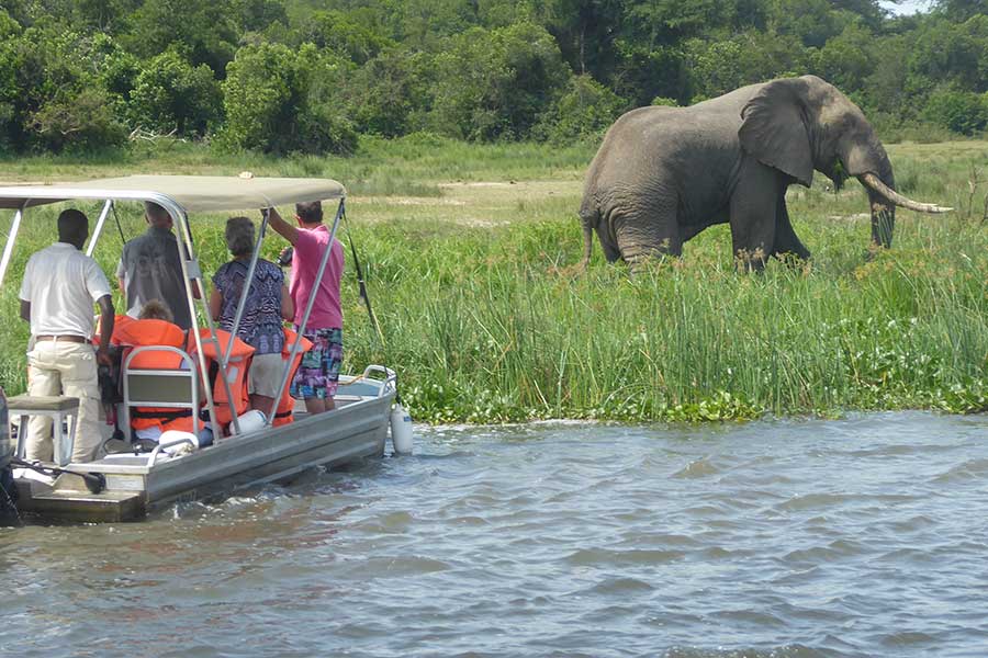 Guests spot an elephant on a private boat trip at Murchison Falls