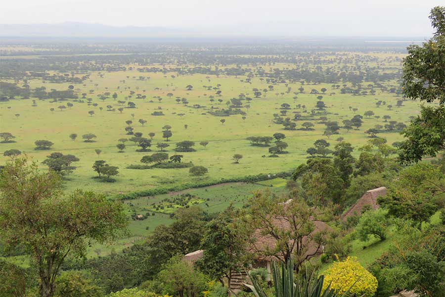 View over Queen Elizabeth National Park, Uganda