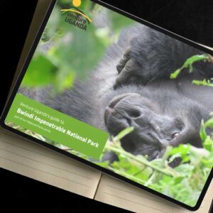 Bwindi Impenetrable National Park guide on an iPad by Venture Uganda