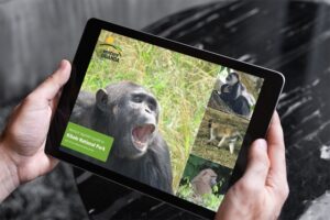 Kibale Impenetrable National Park guide on an iPad by Venture Uganda
