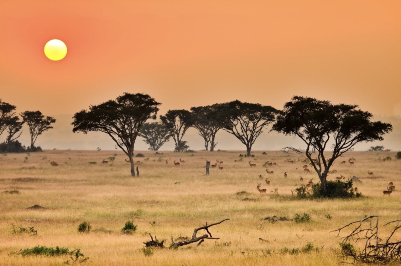 Uganda at Sundown