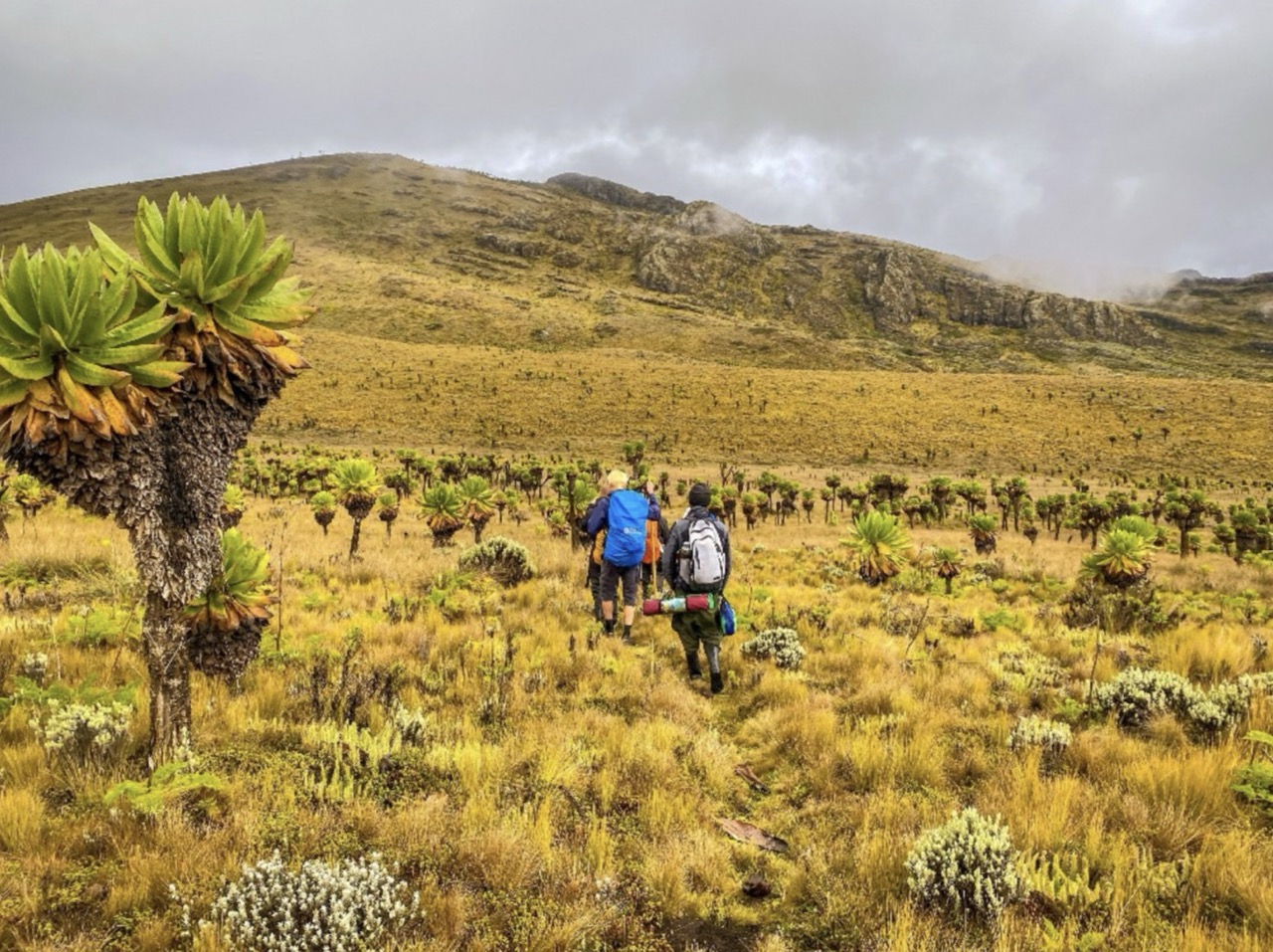 Go off the beaten track - Mount Elgon