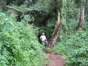 The-rainforest-on-Mt-Elgon