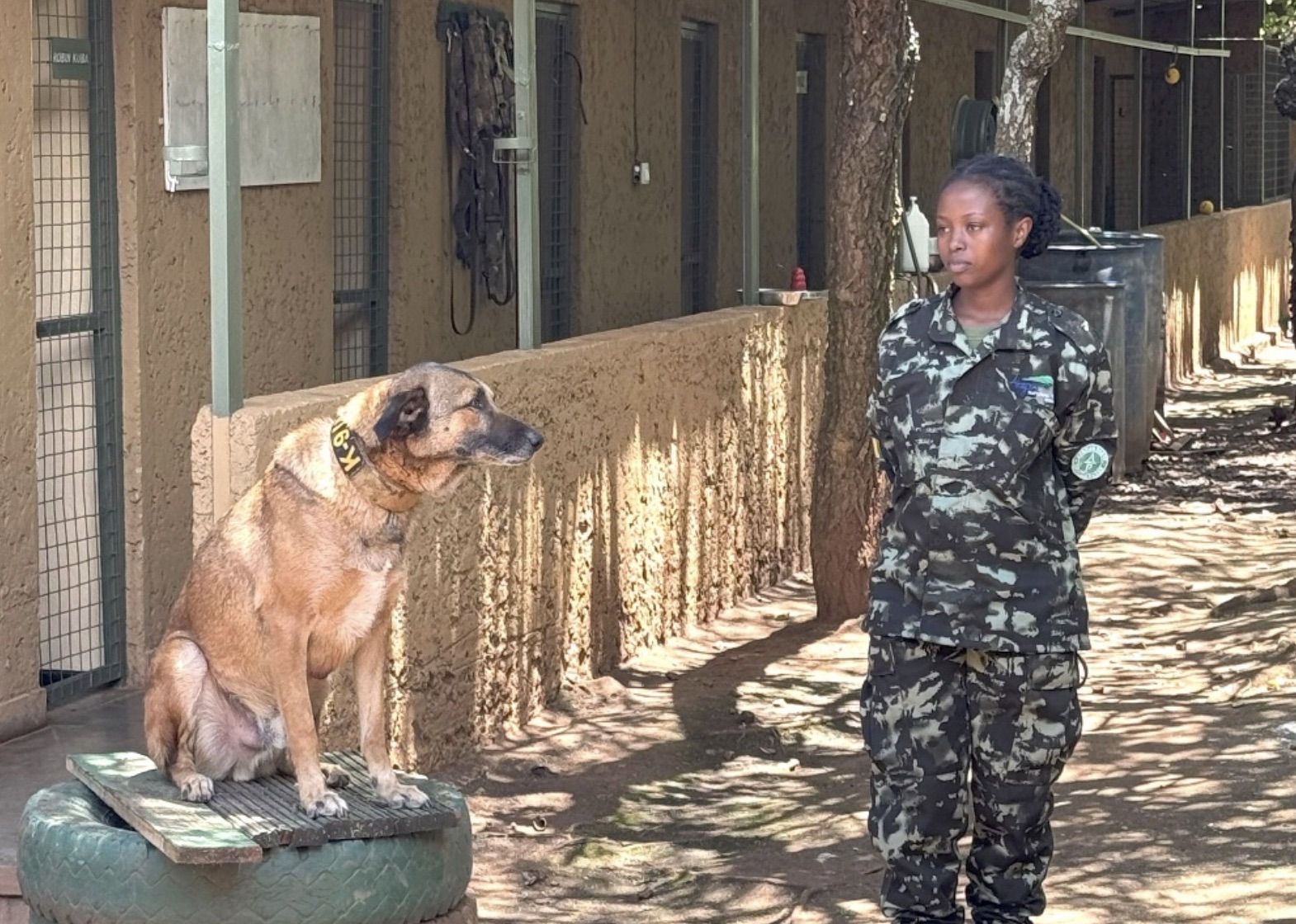 Meet Rwanda’s anti-poaching K9 Unit
