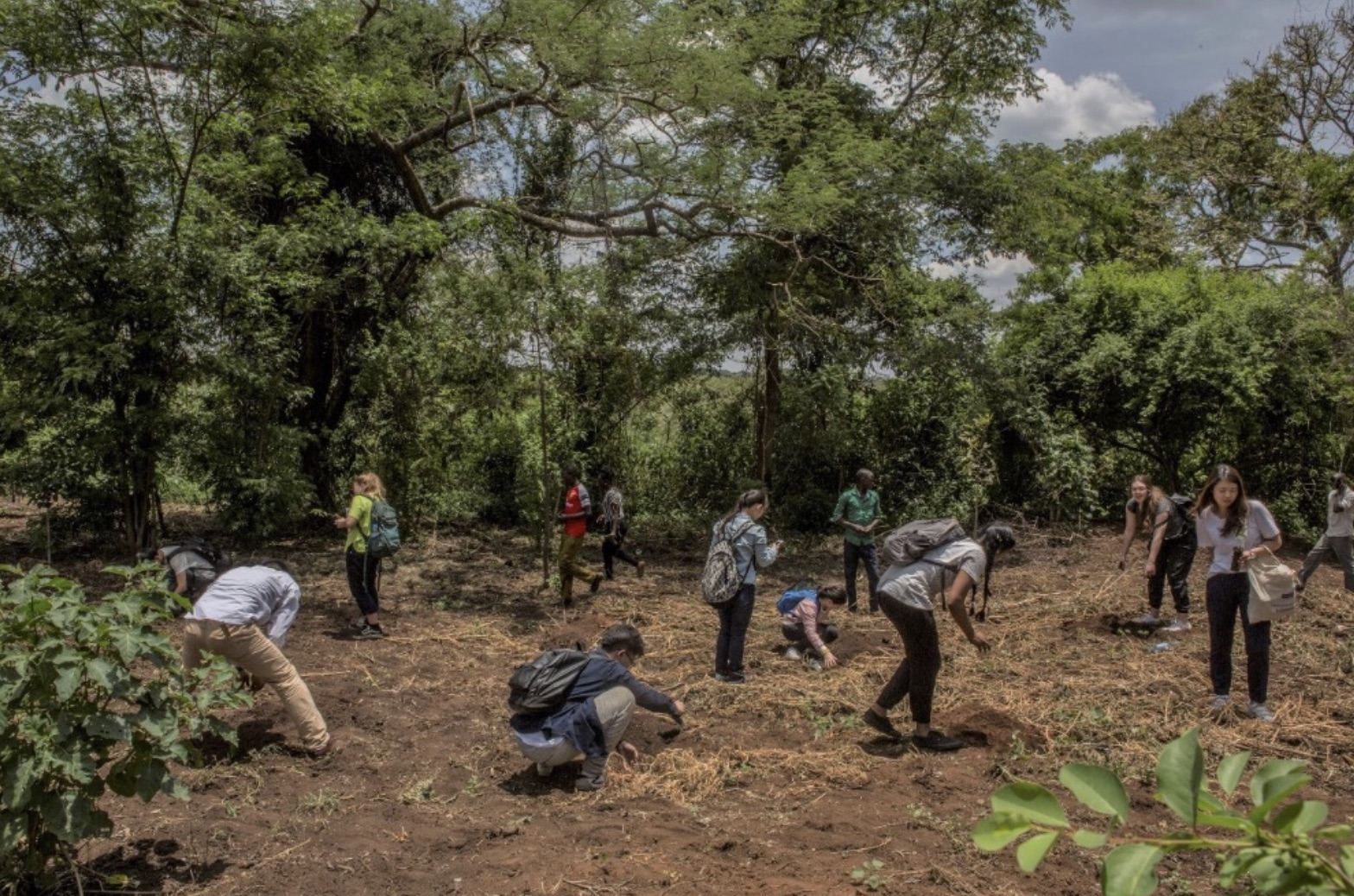 Plant trees and make tourism a force for good