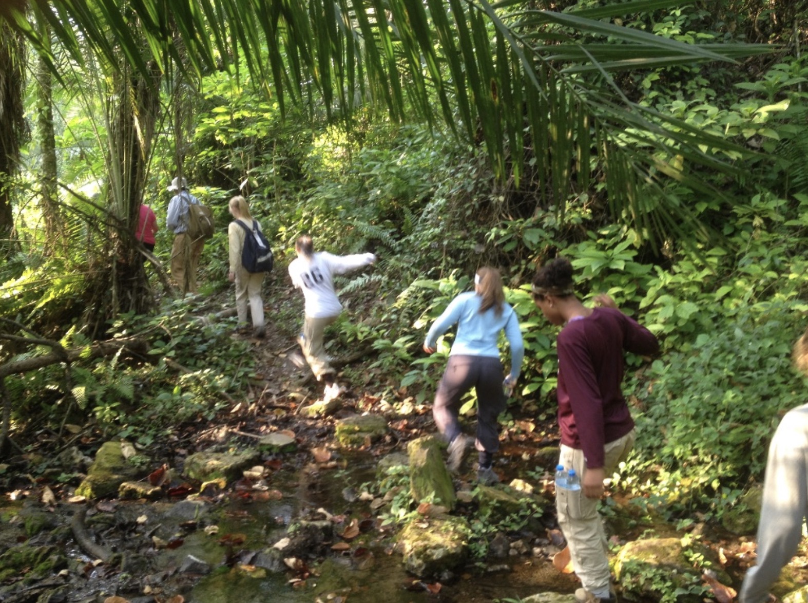 Jumping a stream on a challenging jungle hike