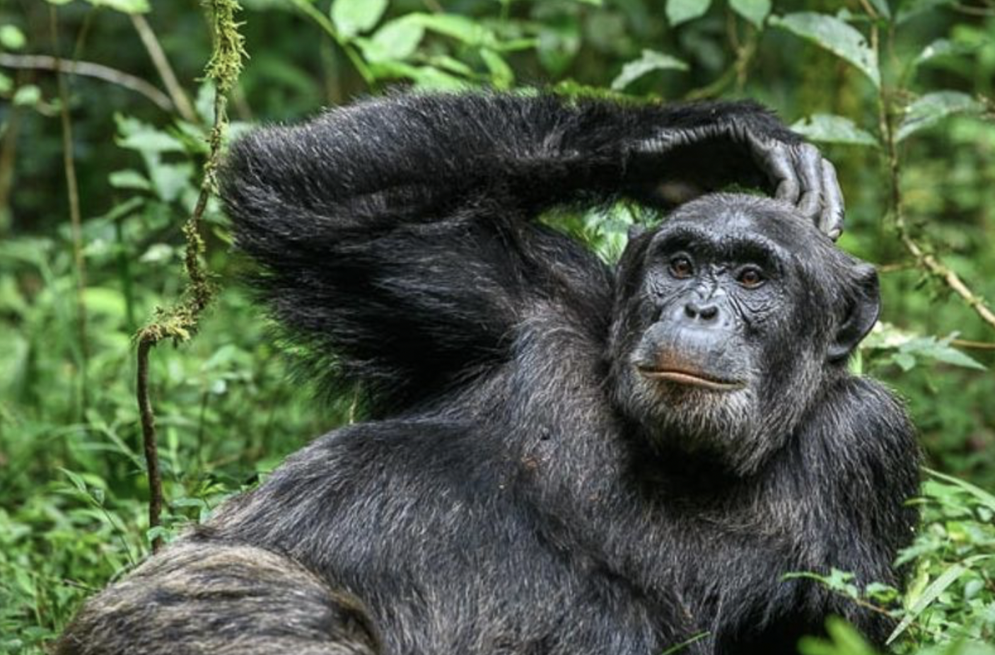 Outstanding Feedback