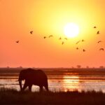 Ready for some winter sun?