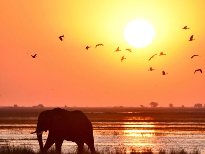 Ready for some winter sun?