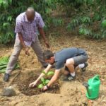 Tree planting in Uganda