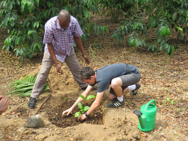 Tree planting in Uganda Tree planting in Uganda