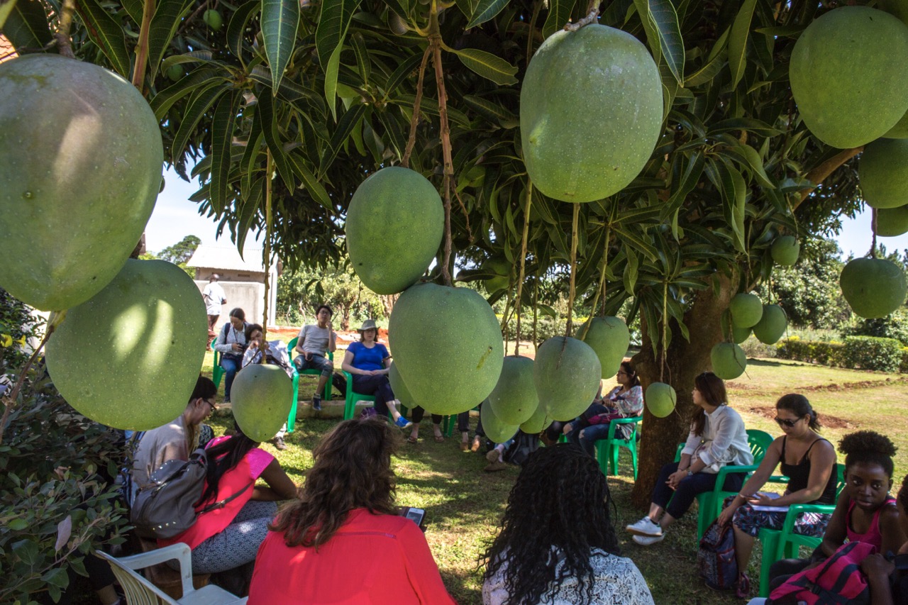 Mangoes Mangoes