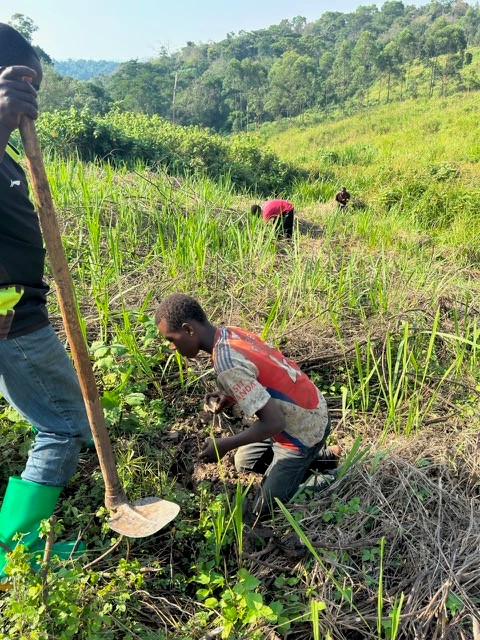 Venture Uganda tree-plating project 2026 - 12
