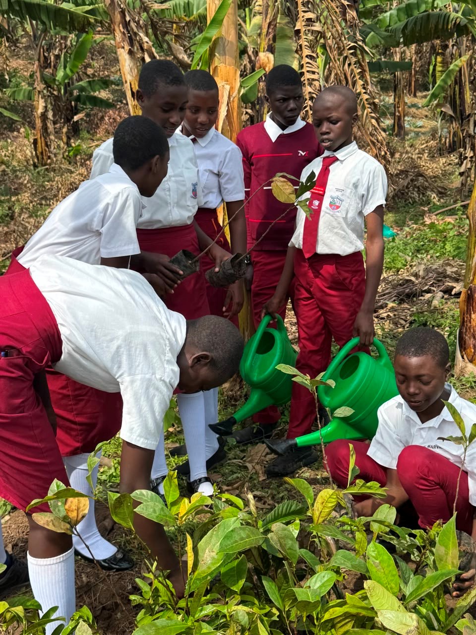 Venture Uganda tree-plating project 2026 - 8