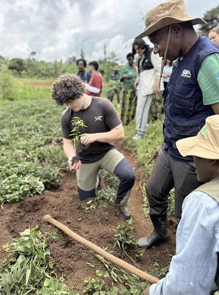 tree-planting-uganda