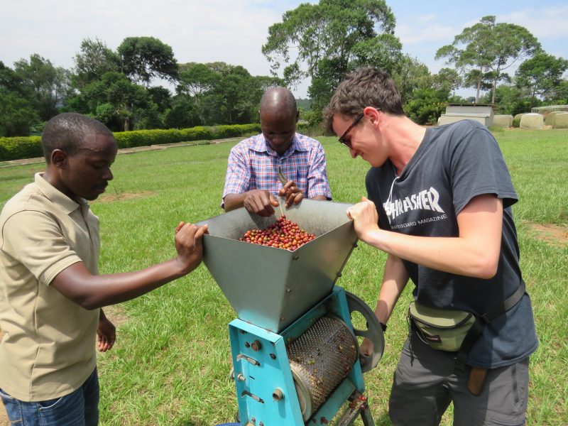 Wet processing on coffee farm tour Uganda
